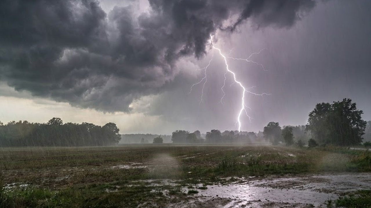 இன்று  பல தடவைகள் மழை பெய்யக்கூடும்