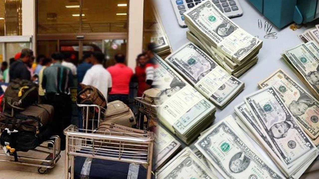 2026 பெப்ரவரி: வெளிநாட்டு பணப்பரிமாற்றம் 729 மில்லியன் டொலர்