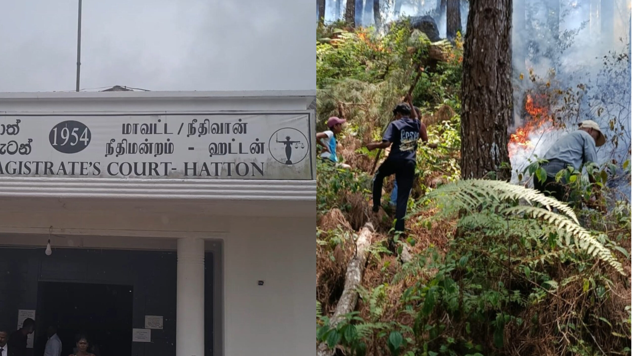 “வனத்தை எரித்தவருக்கு ரூ. 91,100 அபராதம்!” – ஹட்டன் நீதிமன்றம் அதிரடி.